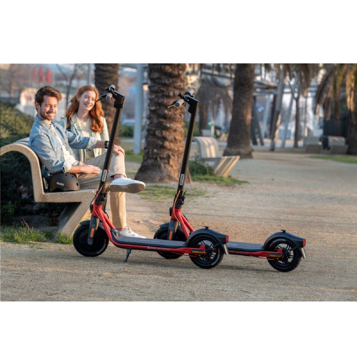 Ninebot by Segway KickScooter D38E