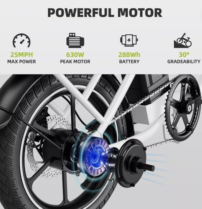 WINDHORSE W2B Electric Bike