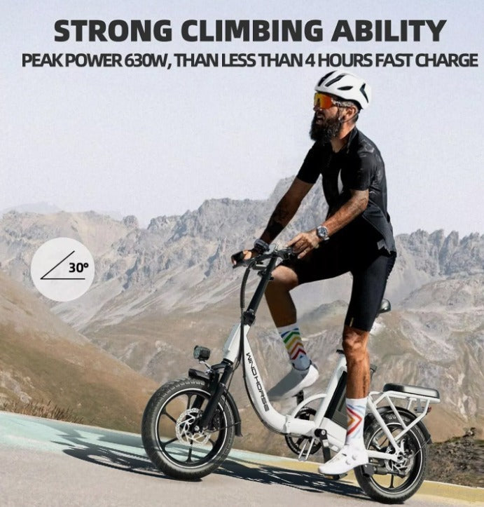WINDHORSE W2B Electric Bike