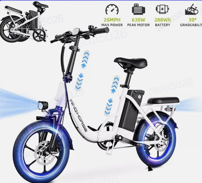 WINDHORSE W2B Electric Bike