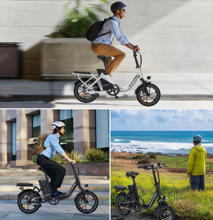 WINDHORSE W2B Electric Bike