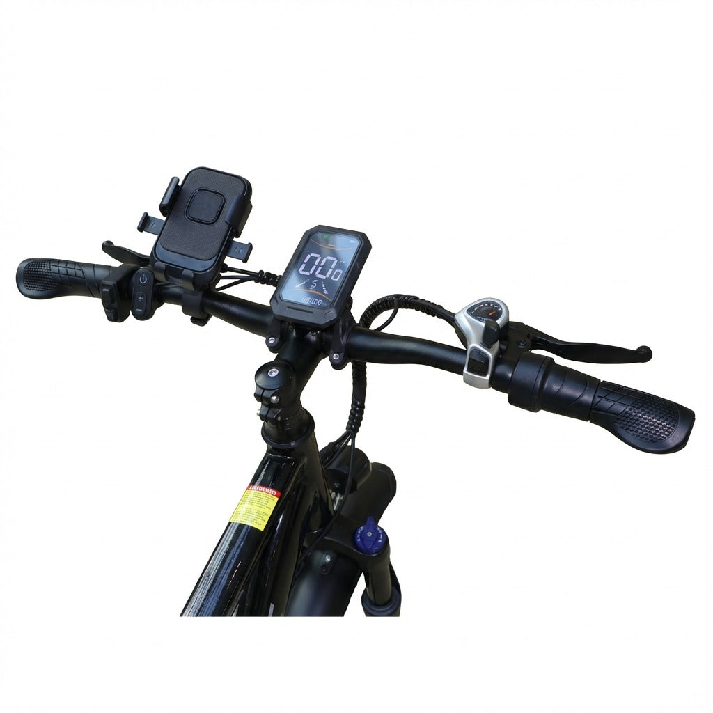 CHENXIAN HX100 Electric Bicycle