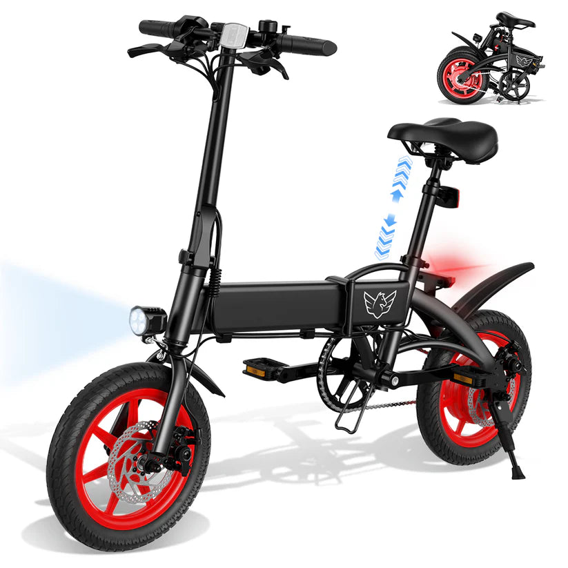 Windhorse C19 Folding E bike