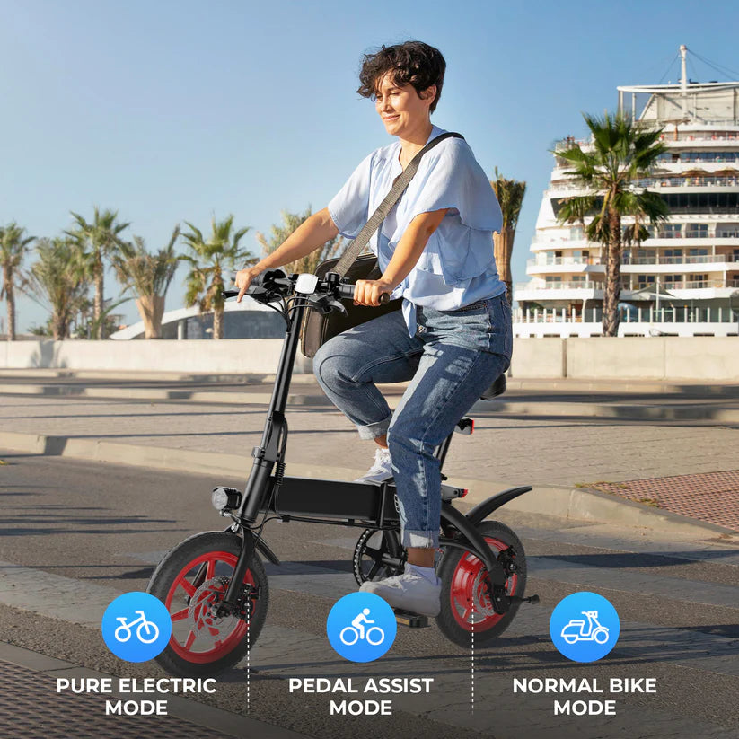Windhorse C19 Folding E bike