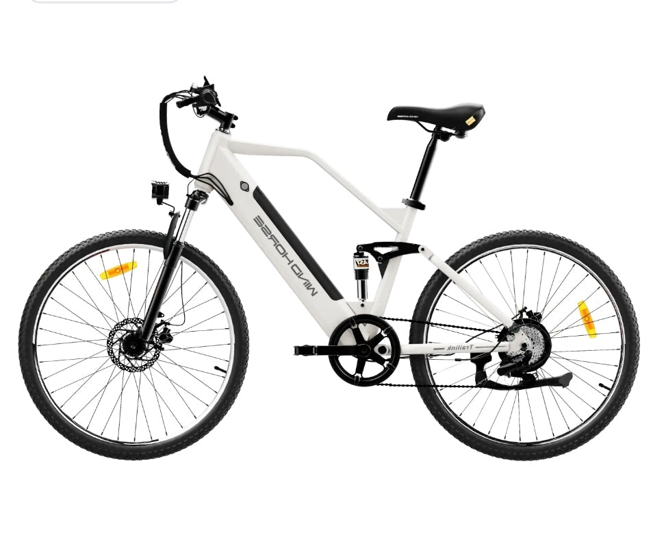 Windhorse F3 Electric Stylish City E Bike 48V15Ah 450W